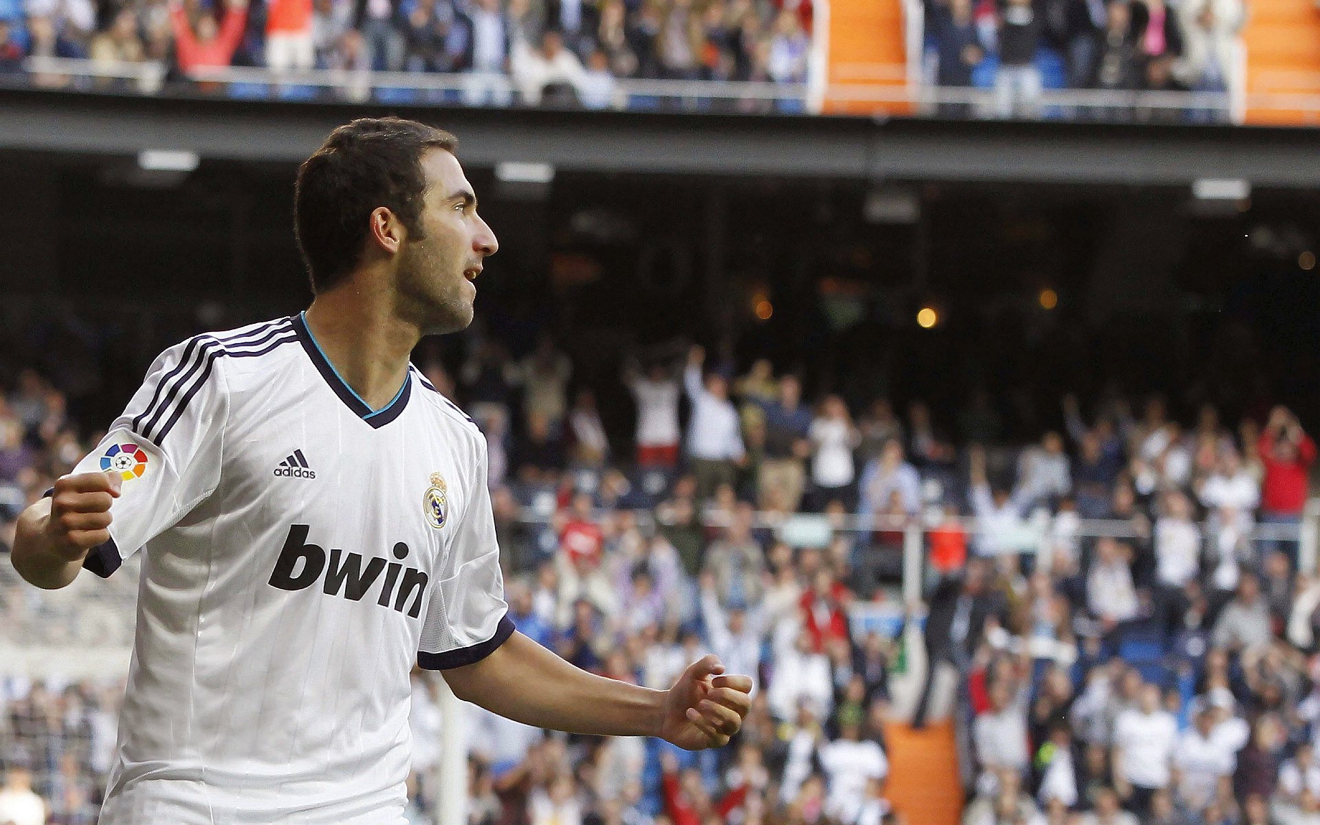 电竞选手数据分析助力战术优化，电竞选手数据库